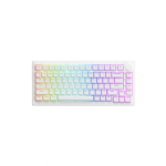 Bàn phím cơ AKKO 5075B Plus White (Multi-Modes, RGB, Gasket Mount, Castle Crew Yellow Pro switch)
