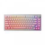 Bàn phím cơ MonsGeek M1 QMK Silver (Full nhôm, QMK/VIA, RGB, Hotswap)