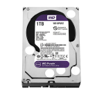 Ổ cứng HDD Western Purple 1TB (3.5", 5400 RPM)